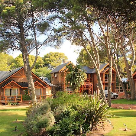 Complejo Kalem Villa Sierra de la Ventana Ngoại thất bức ảnh